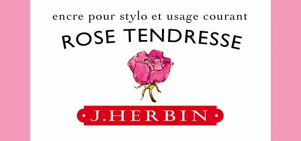 Rose Tendresse