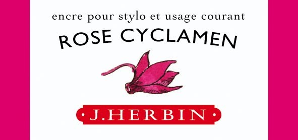 Rose Cyclamen